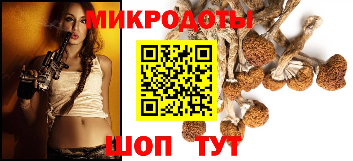 Псилоцибиновые грибы GOLDEN TEACHER  Вход с VPN  Костомукша 
