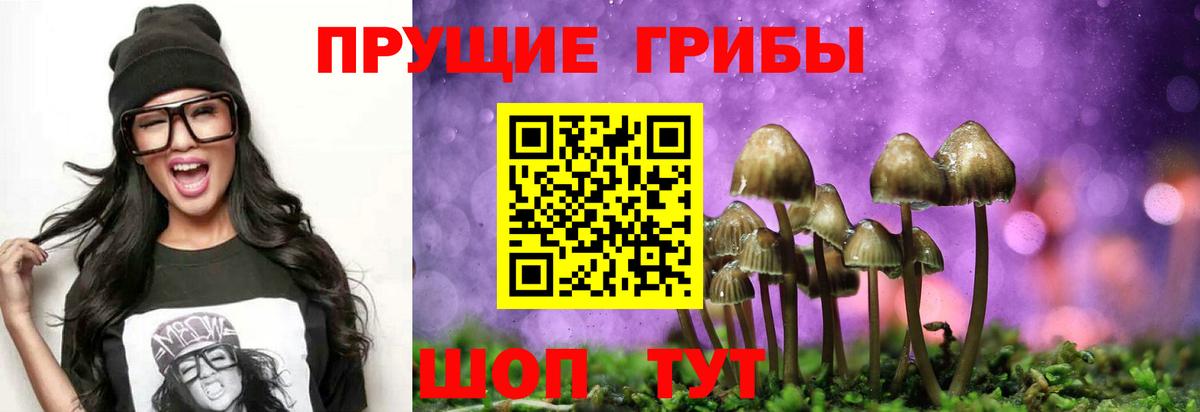 Галлюциногенные грибы MAGIC MUSHROOMS Костомукша
